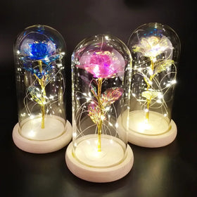 L06326 Wholesale Gold Foil Rose Gift Flower LED Light String on the Rose Valentine's Day Galaxy Rose