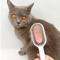 Multifunctional 2in1 Cat Brush With Wet Tissue Double Sided Cleaning Pet Grooming Brush Cats Magic Hair Comb