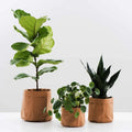 Environmental Washable Kraft Paper Pots Growing Plant Fabric Grow Bags Used With Flower/green Plant Custom Size All-season