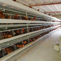 Chicken Layer Cage Build Sale Automatic Industrial Cheap Large Portable 4-Tier 50kg New 2020 Silver Durable