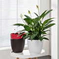 BRICE Vasi Da Giardino Flower Pots Art Planter Indoor Matte Nordic Plant Pot