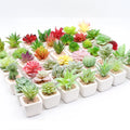 Artificial Succulent Plants in Plastic White Small Pots Eco-Friendly Desk Plant for Home Bathroom Small Spaces Decoration