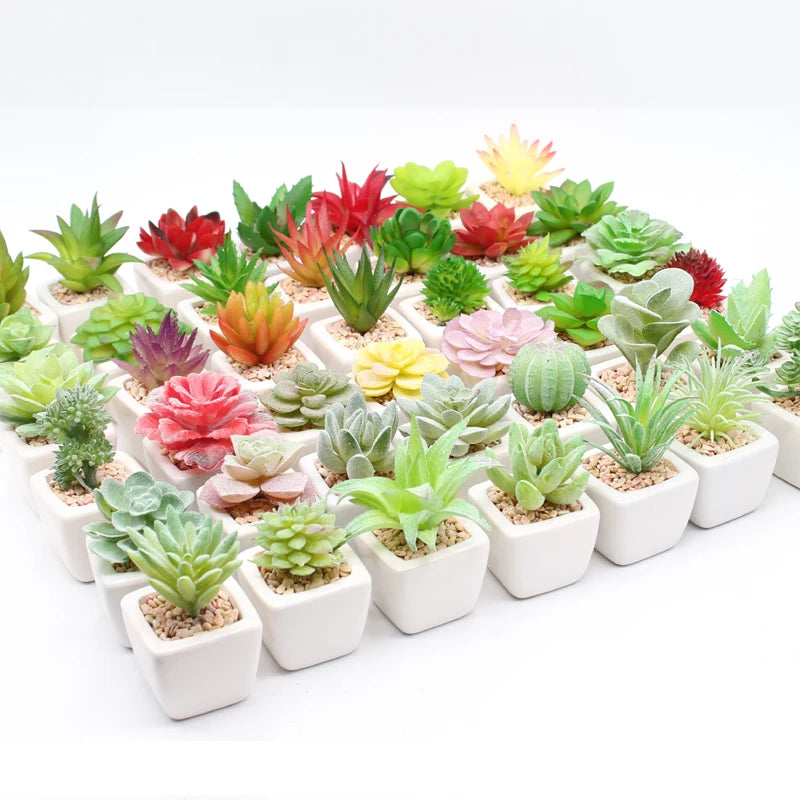 Artificial Succulent Plants in Plastic White Small Pots Eco-Friendly Desk Plant for Home Bathroom Small Spaces Decoration