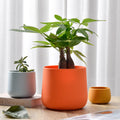 Round Wholesale Silicone Design Ins Plant Nordic Modern Planter Style Flower Home Silicone Flower Pot
