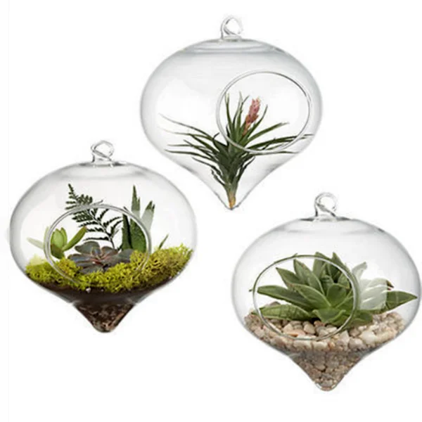 Classic Onion Shaped Glass Terrarium Wall Vase with Hole