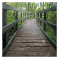 Modern Outdoor WPC Decking Wear-Resistant Non-Slip Waterproof Composite Wood Flooring with Anti-Slip Feature Brushed Technics