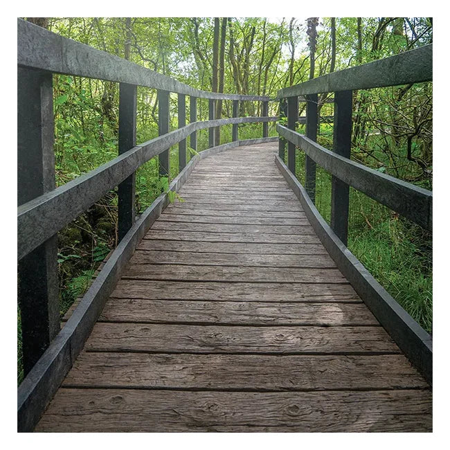 Modern Outdoor WPC Decking Wear-Resistant Non-Slip Waterproof Composite Wood Flooring with Anti-Slip Feature Brushed Technics