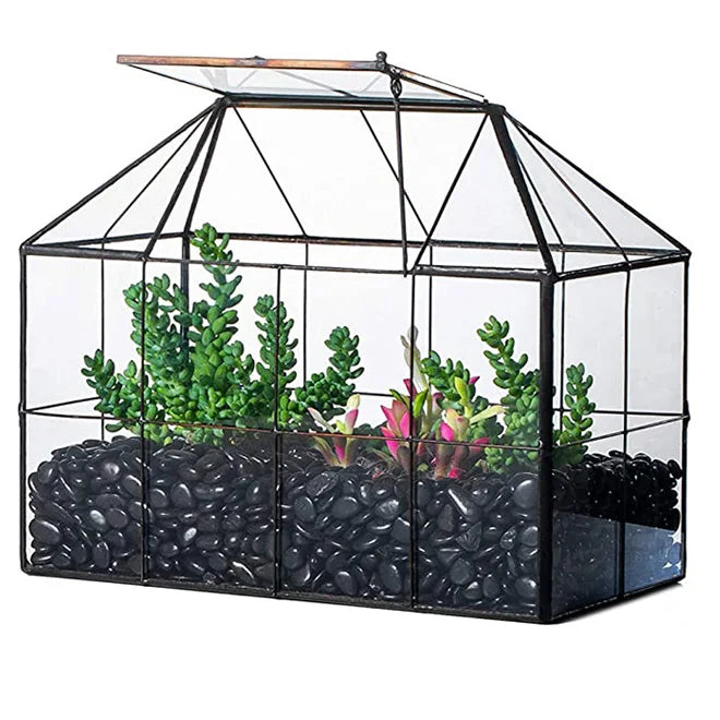 Wholesale Large Glass Plant Terrarium Kit Home Garden Greenhouse Terrarium with Lip for Succulent for House Succulent Display
