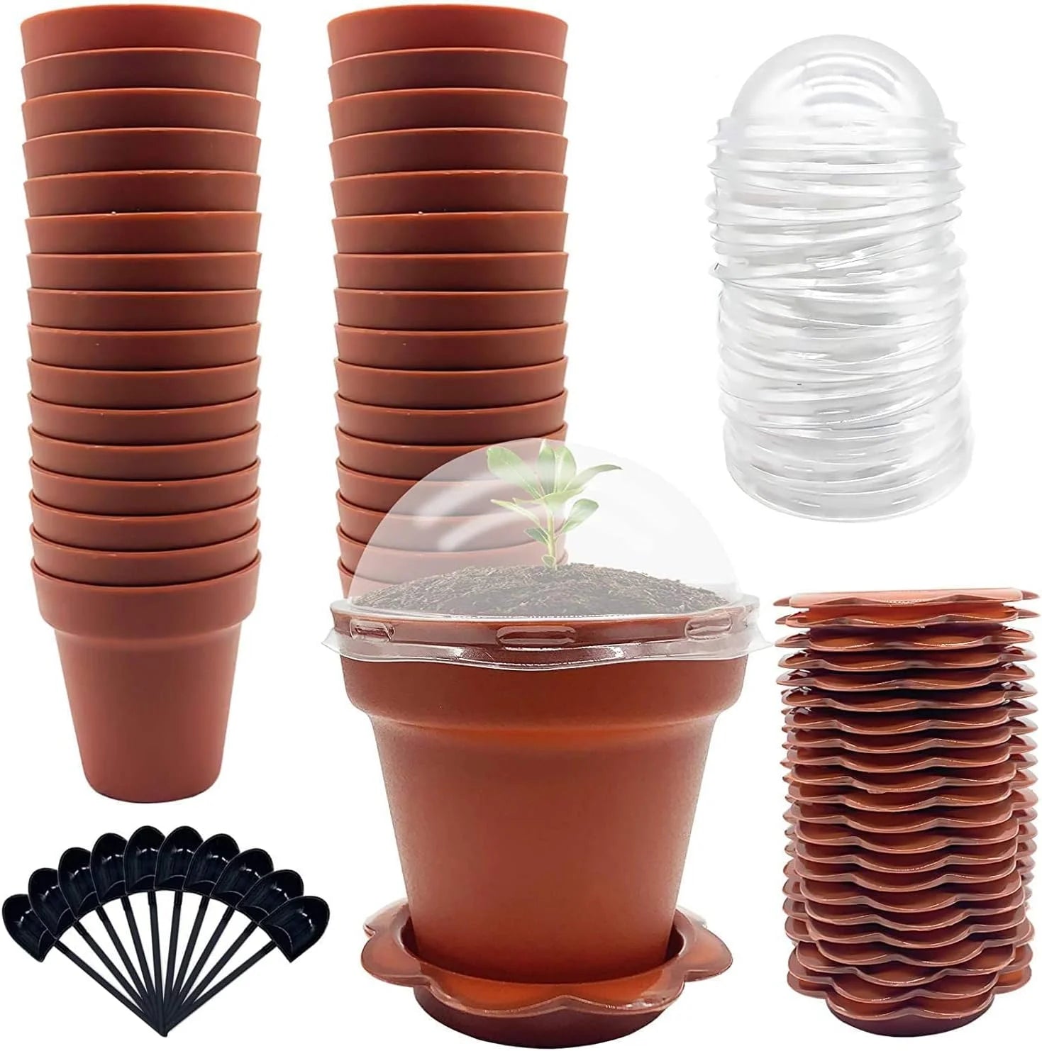80pcs Seedling Succulent Plant Nursery Pots with Humidity Dome Small Plastic Flower Pots with Saucers and Shovel