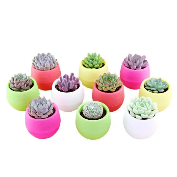 Mini Flower Pot & Planters Colourful Round Plastic Minimalist Resin Plastic Pots for Plants Macetas Plasticas 6 Colors 100pcs