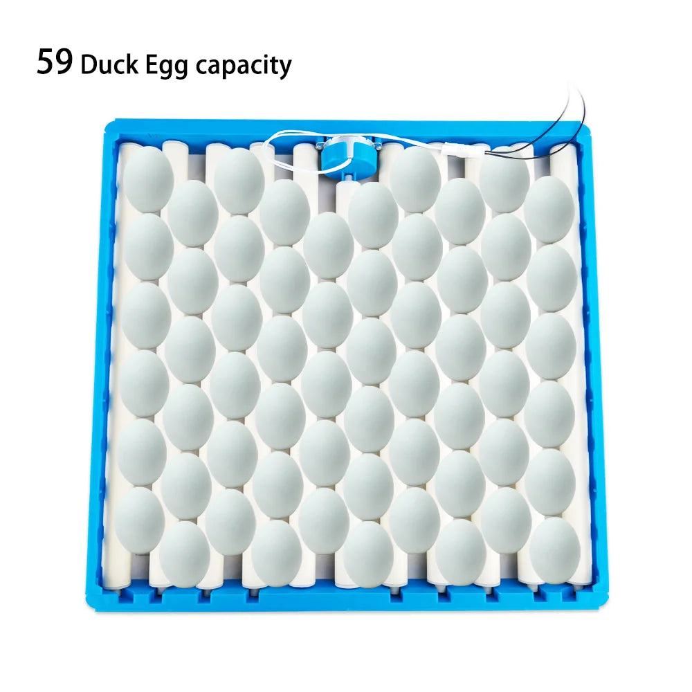 70 Egg Trays for Sale Incubator Egg Tray Price Machine Price in Pakistan Egg Tray Automatic