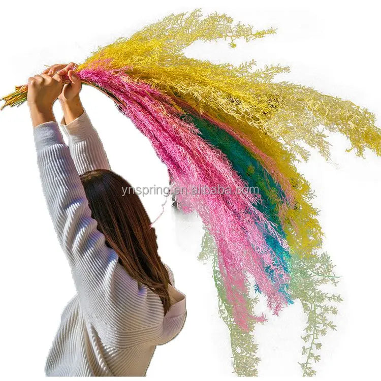 Wholesale Spring Natural Preserved Flowers Fern Asparagus Arrangements 100cm Graduation Wedding Valentine's Day New Year Easter
