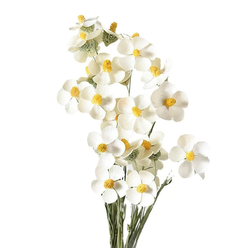 Good Quality Colorful Preserved Flowers Violet Dried Flowers Bouquet for Home Decoration