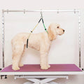Pet Dog Leash: Steel Wire Rope Dog Leash Steel Wire Pet Dog Rope Pet Traction Leash