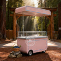 Modern Lightweight Durable Mobile Outdoor Tricycle Ice Cream Cart with Stainless Steel and GPS Tracking