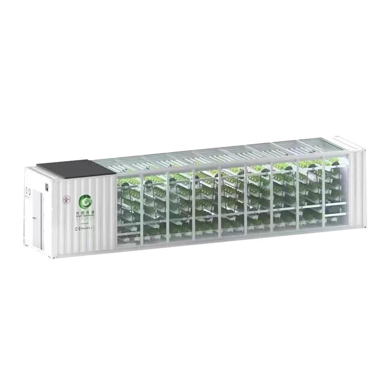 Hydroponic Aeroponic Plant Factory Vertical Farming Container
