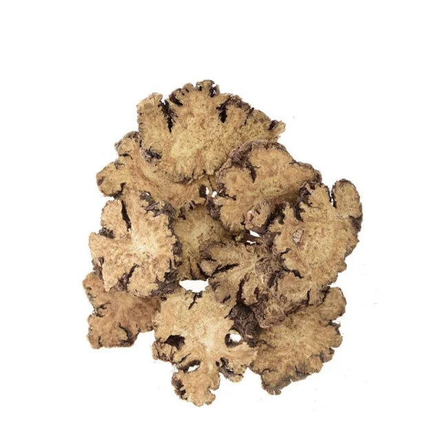 Dried Sliced Ligusticum Chuanxiong Rhizome Herb Ligusticum Wallichii Szechuan Lovage Root for Sale
