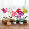 Cheap Real Touch Artificial butterfly Orchid with Pot Mini Faux Bonsai Orchid Flower Table Flower for Sale