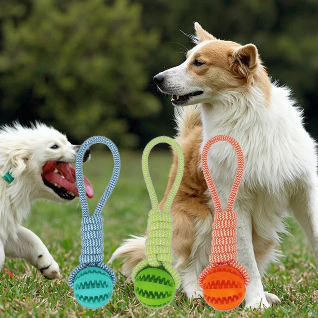 Interactive Outdoor Training Dog Chew Toy 6CM Cotton Rope Ball Classic EVA Teeth Cleaning Play Toy for Large Small Dogs Cats