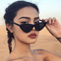 Retro Small Frame Women Glasses for Outdoor Travel UV400 Best Selling Trendy Cat Eye Sunglasses