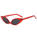 Newest Fashionable Vintage Retro Small Cat Eye Women Sunglasses 2020