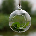 Hand Blown Round Ball Shape Airplant Glass Vase Terrarium Outdoor Glass Hanging Candle Holder