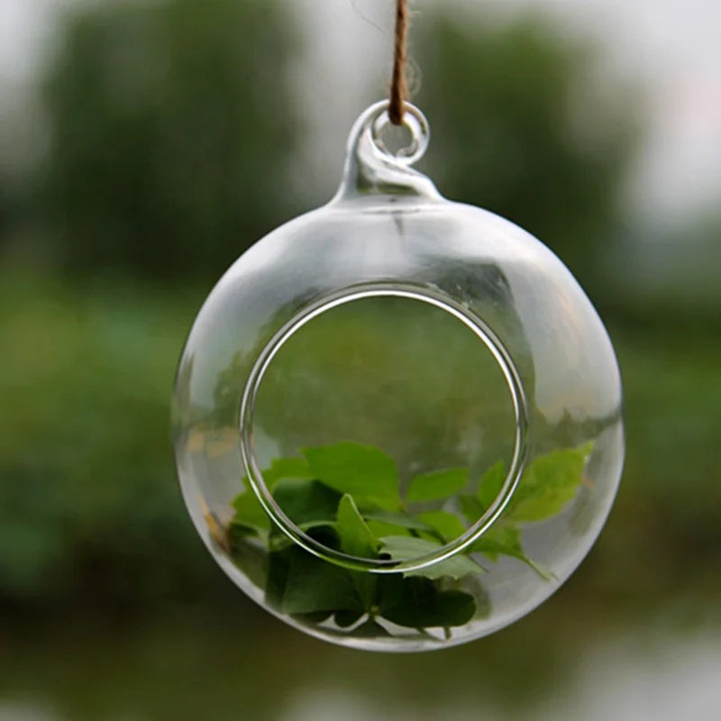 Hand Blown Round Ball Shape Airplant Glass Vase Terrarium Outdoor Glass Hanging Candle Holder
