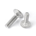Dongji Stainless Steel Bolt Round Head Stainless Steel Carriage Bolt Garden Furniture Bolts