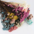 M062 Floral Arrangement Wedding Home Decor Dried Garland Flower Filler Blue White Rice Flower Bouquet Dry Preserved Rice Flower