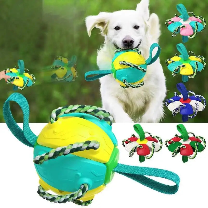Durable Interactive Dog Chew Toy Funny Novelty Eco-Friendly ABS & PP Soccer Ball Portable for Beach Garden Use Opp Bag Packaging