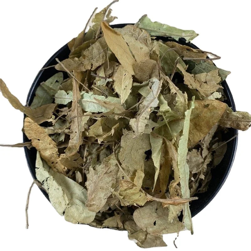 China BULK Flower of Miquel Linden for Herb