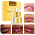 HelloKiss Luxury Gold Lipstick Tube Set 3pcs Cute Lipstick with Mineral Makeup Boxes Chinese Manufacturer Fashion Style Gift