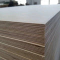 FSC EUTR Certified 1525X3000mm 1250x2500mm B/BB BB/CP Full Birch Plywood with Phenolic WBP Glue