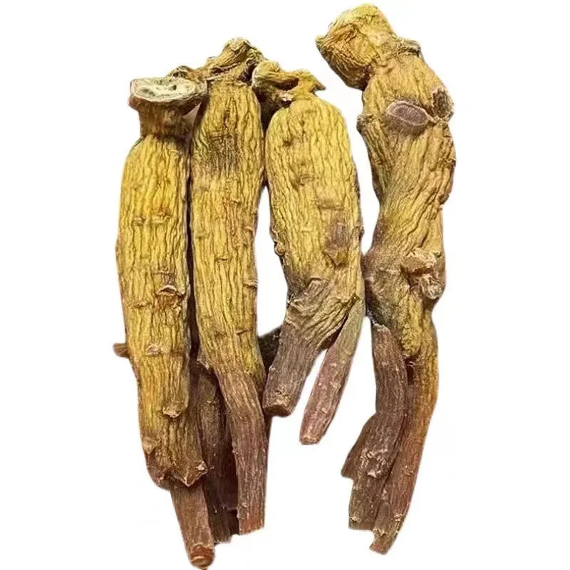 Wholesale of Authentic Imported Korean Ginseng in Bulk with Carefully Selected Original Roots