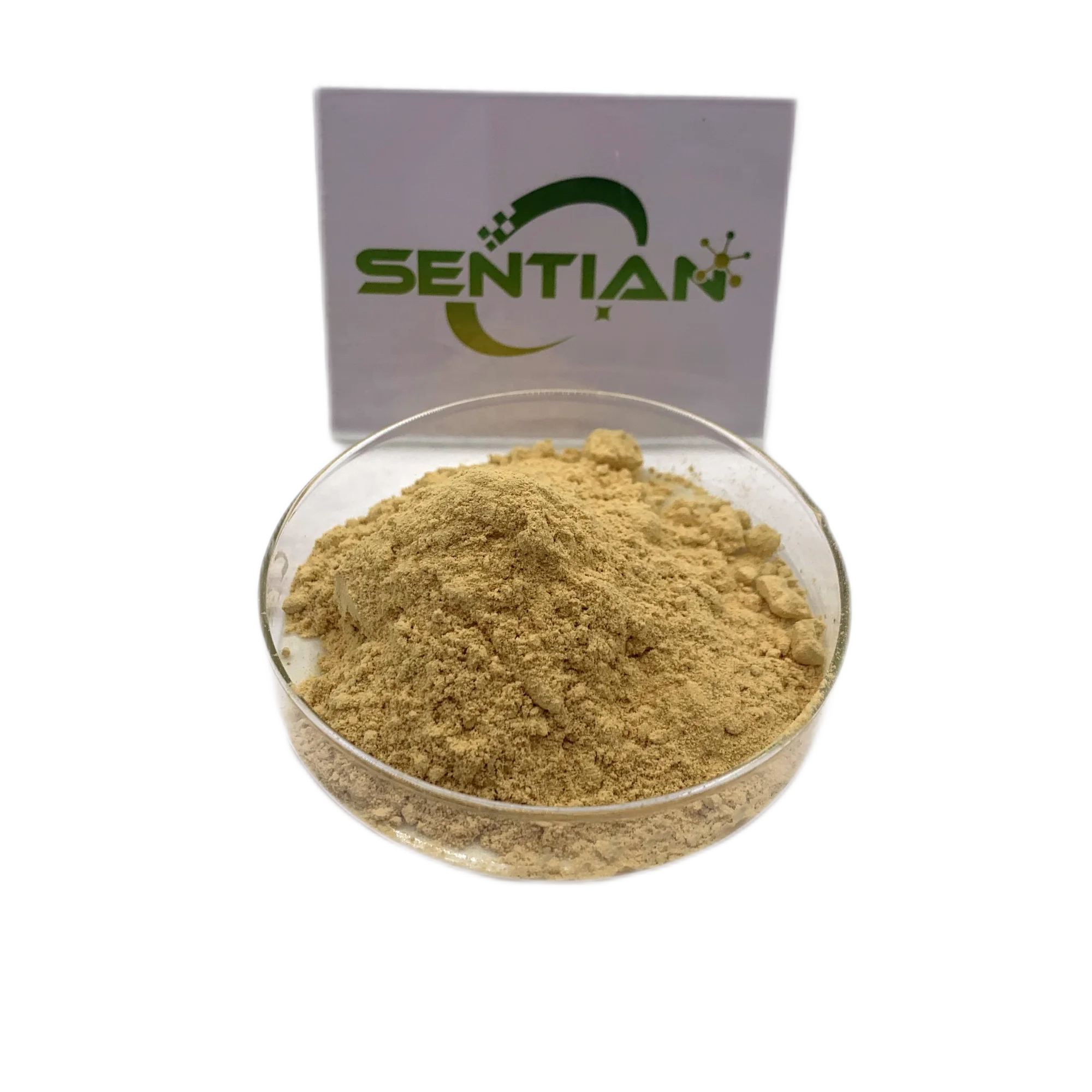 Food Grade Natural Sweetener Mogroside V 25% Monk Fruit Extract for Healthy Alternatives