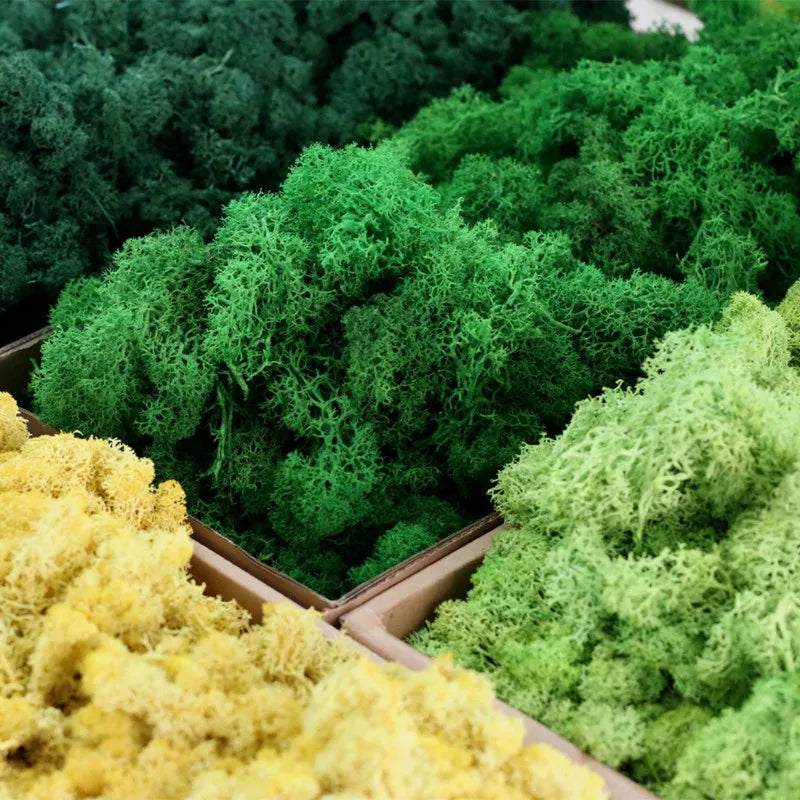 Simulation Bushes Grass Vegetation Miniature Architecture 1:35 1:48 1:72 1:87 O HO N TT Z Ho Scale Train