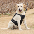 Oxford Cloth Pet Harness Adjustable Soft No Pull Tactical Vest for Small and Big Dogs Summer Use Pet Leash Supply
