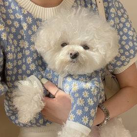 Wholesale Floral Cashmere Pet Do Cardigan Sweater