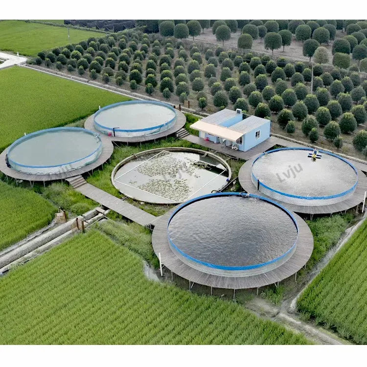 Lvju Biofloc Aquaculture Tank Root Blower RAS Aquaculture Aquaponic Pond for Shrimp Fish