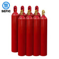 80L ISO N2 Ar Clean Gas Tank IG55 IG541IG01IG100 Inert Gas Fire Fighting Cylinder for Fire Fighting System