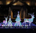 2024 Latest Hexagon Shape Outdoor Christmas Decoration with LED Adjustable Lights Customizable Size & Color