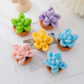 Decorations Dolls Animals Flowers Succulents 5 Pieces Per Set Crochet Kits with Yarn Set