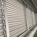 TOMA Good Quality Plantation Shutters Pvc Shutter  Shanghai Wooden Material
