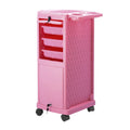 Modern Mobile Makeup Cases Hair Salon Hairdressing Tool Station Lock Practical Plastic Utility Bedroom Kitchen Workshop Hospital