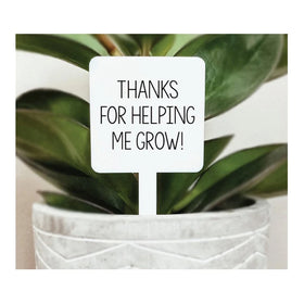 Custom Acrylic Waterproof Plant Marker Custom Acrylic Plant Marker Wholesale Acrylic Plant Label Tags