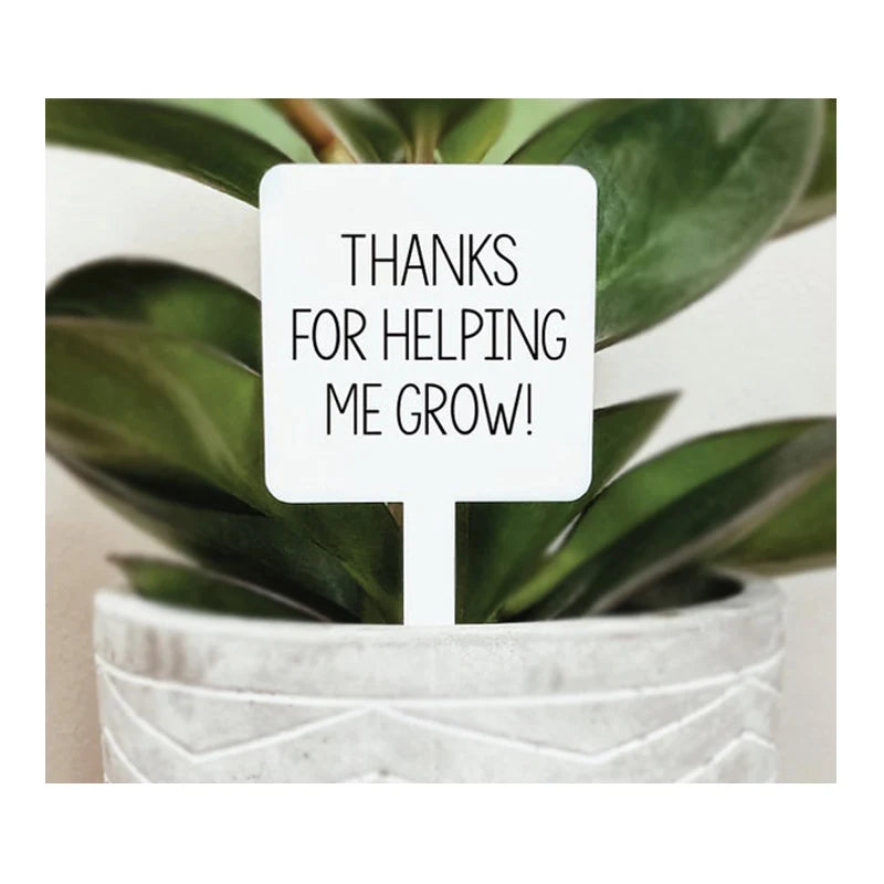 Custom Acrylic Waterproof Plant Marker Custom Acrylic Plant Marker Wholesale Acrylic Plant Label Tags