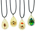 Real Insect Pendant Necklace for Men Insect Sample Glow in the Dark Scorpion Amber Resin Spider Beetle LadyBug Charm Necklace