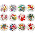 Hot Sale Nail Art Pressed Dry Flower Nature Dried Flowers 3D Decoration Real Dry Dried Flower for UV Gel Acrylic Nail Art Tips