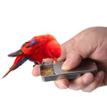 Mini Portable Handheld Parrot Feeding Box Bird Growth Training Tool Interactive Toys Bird Feeder