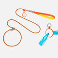 2024 New Arrival Pet Dog Leash Fashionable Colorful Woven Pet Leash P Rope Training Dog Collar Lead Leashes with Soft Handle